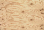 CDX Plywood Sheathing Panel - 23/32" Thick, 5 Ply, PS 2 Standards, Made in USA
